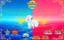 Pokemon Goupix Alola SHINY 6 IV31 Epee-Bouclier Ecarlate-Violet Arceus Lets go