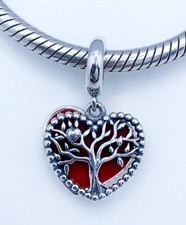 💖 Charm Famiglia Per Sempre