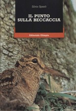 Punto sulla beccaccia - punto,