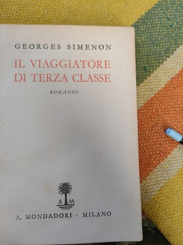 Viaggiatore terza classe - il,