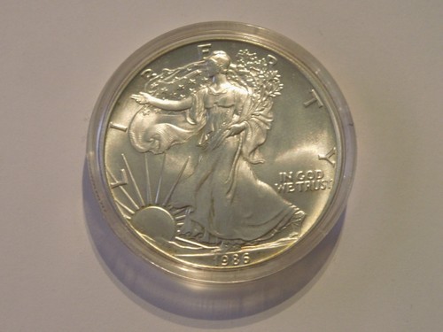Usa dollaro 1 oncia - 1,