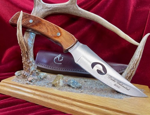 Raro coltello custodia - e, menta