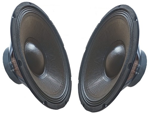 Coppia woofer professionali - coppia,