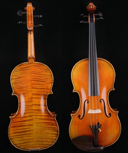 Maestro violino guarneri - violino,