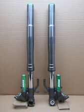 Kawasaki ZX1000 ZX-10R Ninja