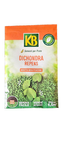 Semi prato dichondra - kb,