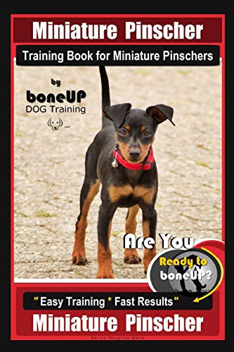 Miniature pinscher training - miniature,