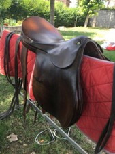 Pariani Sella inglese completa di finimenti e testiera. Ottime condizioni.