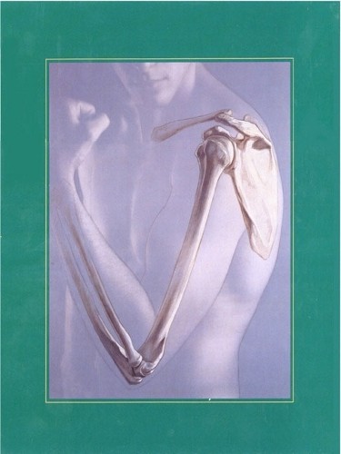 Human anatomy mckinley - human, ph.d