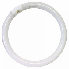 Neon Fluorescente Circolare G10Q LUCE FREDDA 6500K - 32W - 2100 Lumen Cm. 30,5