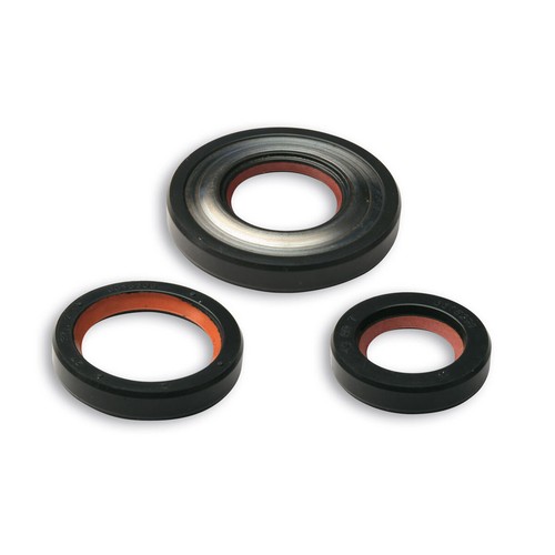 Kit paraoli malossi - malossi, fkm/ptfe