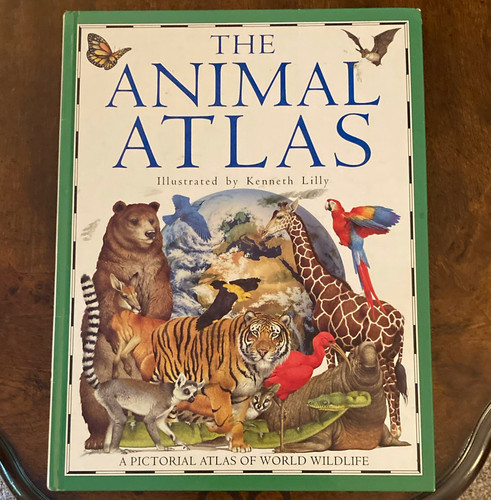 The animal atlas barbara - animal,
