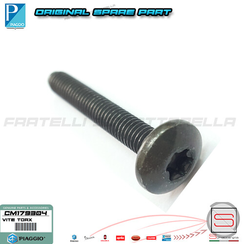 Vite torx 40 fissaggio - vite,