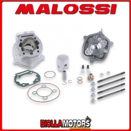 3112977 gruppo termico malossi - 3112977,
