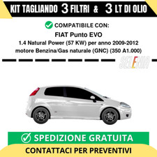 Tagliando per FIAT Punto EVO