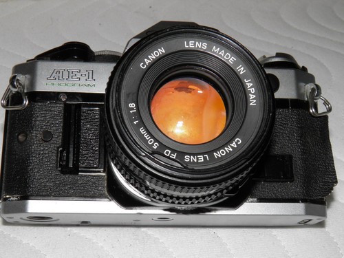 Canon rarità con - raritÀ, insetti
