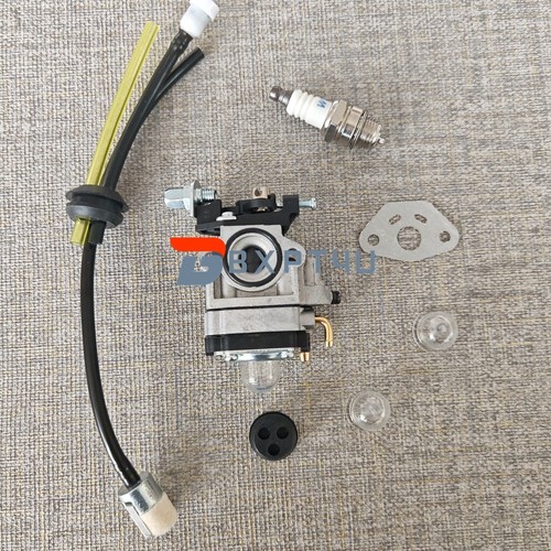 Carburatore per soffiatore