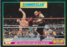 WWF Serie Oro.6/96 1992. Merlin Titan Sports SUMMER SLAM. Saghe Falco vs Jerry