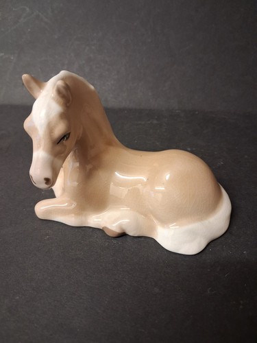Cavallo taglia