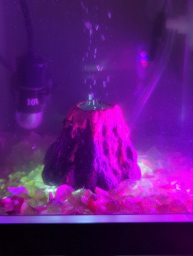 Fish tank vulcano ornamento - fish,