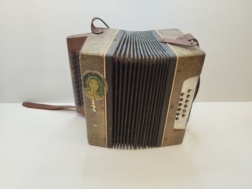 Rara fisarmonica strumento