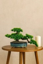 Resin Decorative Bonsai -