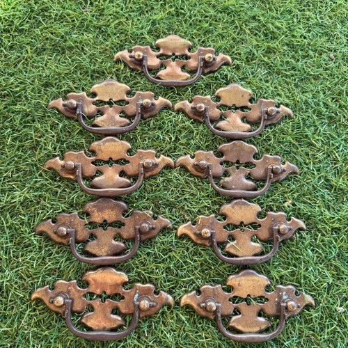 Cassetto pipistrello ottone
