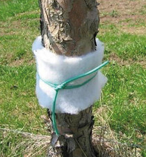 TRAPPOLA CATTURA INSETTI in