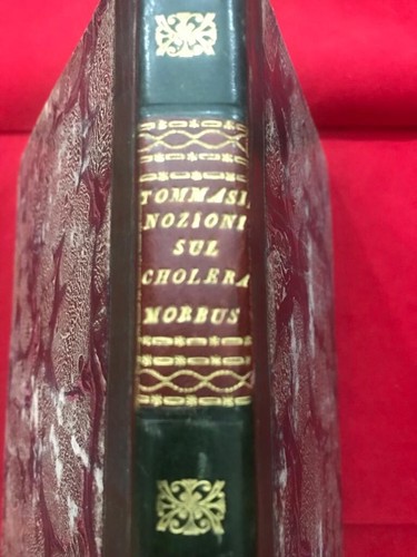 Tommasini del cholera morbus - del, cholera-morbus