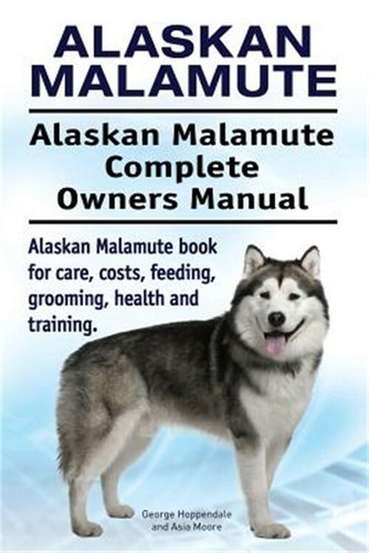 Alaskan malamute - malamute.,
