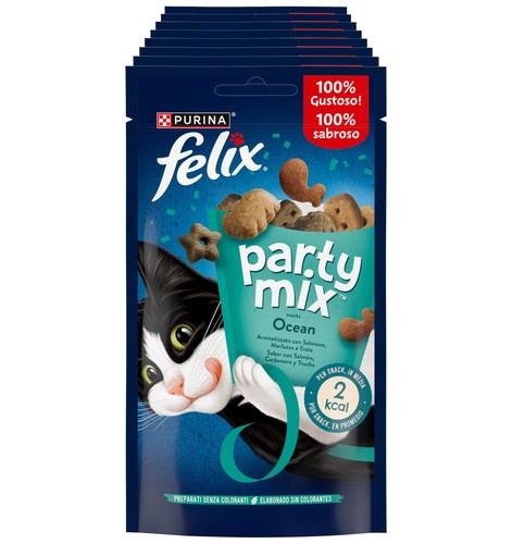 felix gatto