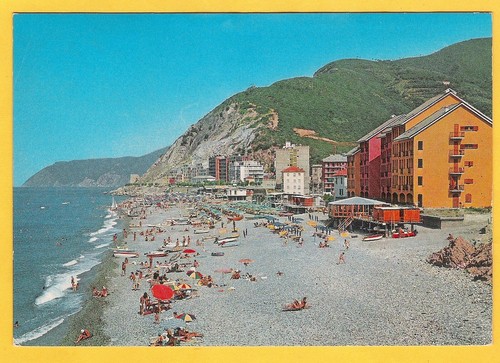 Deiva marina magnifica - deiva,