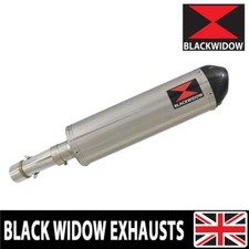 Silenziatore ovale BMW F700 GS