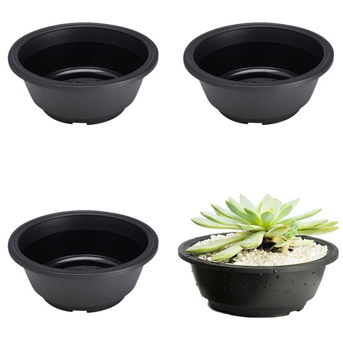 Vaso per bonsai plastica - vaso,