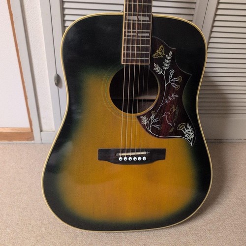 Chitarra acustica pearl - chitarra,