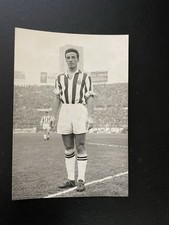 Calcio Juventus Castano-cm.10x15 - Fotografia-Non È Una Riproduzione