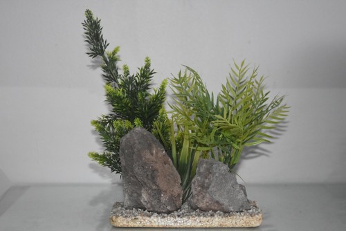 Acquario due rocce paesaggio - due,