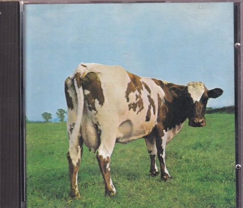 Pink floyd atom heart - pink, "atom