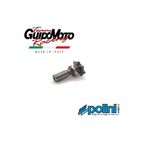 Pignone trasmissione denti - 6,