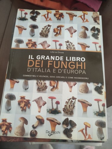 Libro grande dei - libro-il,