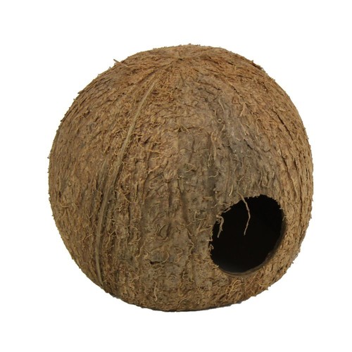 Jbl cocos cava taglia 4 - jbl, l
