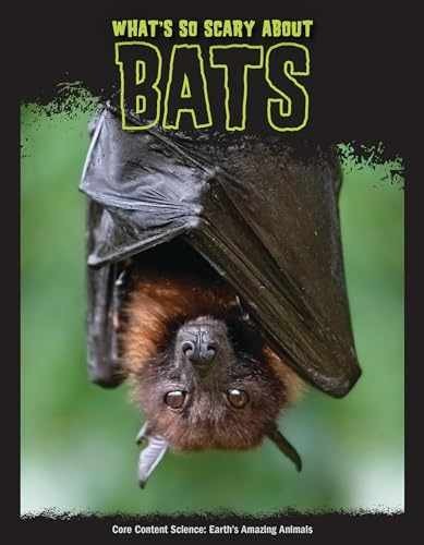 What scary about bats - about,