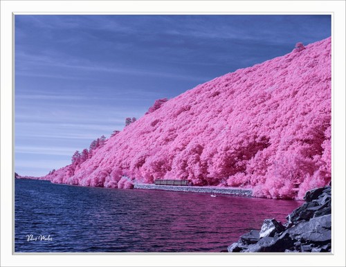 Fotocamera infrarossi - ir,