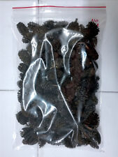 140 pigne di ontano filtro acquario caridine discus ciclidi sostanze umiche pH