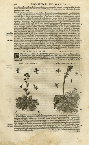 Stampa