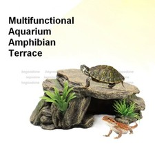 Anfibi Acquario Multifunzione