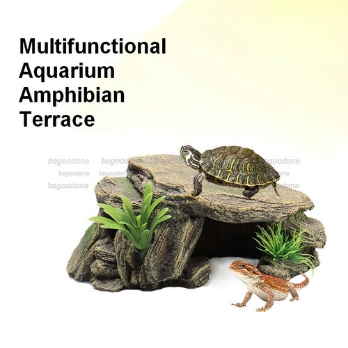 Anfibi acquario multifunzione - anfibi,