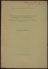 Reinhardt Thiessen / Vascular