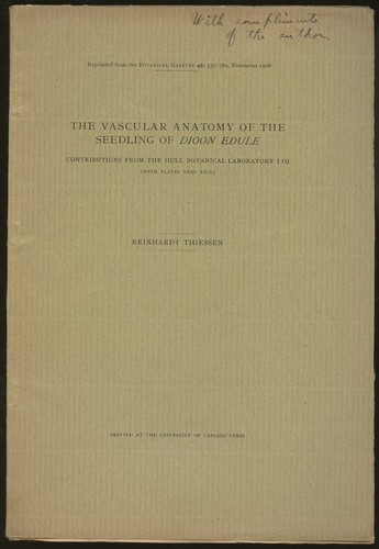 Reinhardt thiessen vascular - thiessen,
