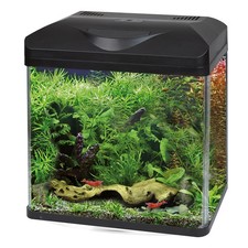 Acquario Laguna Led 30 Amtra